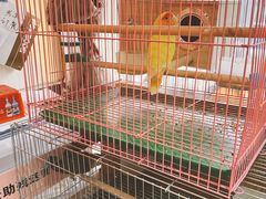 -粥公粥婆精品家常菜(青龙桥店)