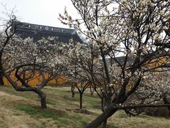 20140227_145032-香雪海
