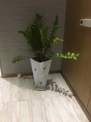 点击看大图 -苑苑vbeauty科技美容SPA