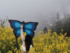 -石潭村