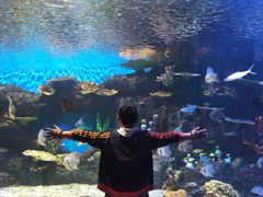 -华夏文旅海洋公园