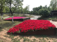 -东郊湿地公园