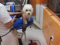 -惠康宠物医院(华能路店)