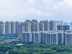 -天鹅湖体育公园