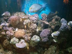 -碧中海汤泉汗蒸酒店