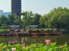 -西海子公园