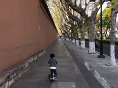 -苏州文庙(姑苏区)