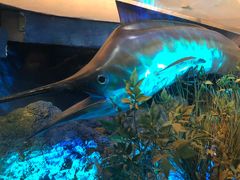 -陕西自然博物馆