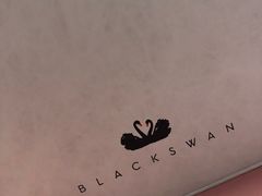 -BLACKSWAN黑天鹅(环球店)
