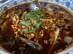 黄辣丁-青城甲(青城山店)