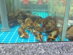 -渔码头食府(蓬莱阁店)