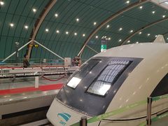 -龙阳路磁悬浮列车总站-停车场