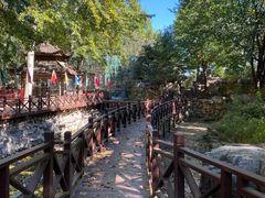 -尚庄度假村·庭台树下·户外烧烤·团建CS·轰趴营地(上庄水库店)