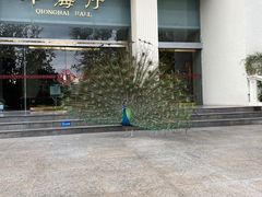-西昌邛海宾馆