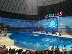 -泉城欧乐堡海洋极地世界