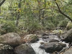 -云岫谷游猎自然风景区