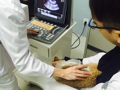-中农大我爱我爱24h动物医院·中医针灸·猫专科·骨科医疗中心(双井店)