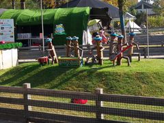 -前小桔亲子创意农场·草莓采摘·露营烧烤