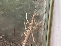 -上海昆虫博物馆