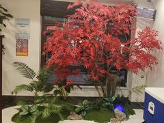 -西山人家·传统苏帮菜·家宴(木渎店)