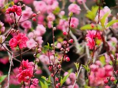 -乌山风景区