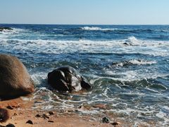 -广东惠东海龟国家级自然保护区