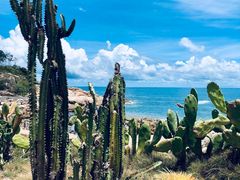 -广东惠东海龟国家级自然保护区