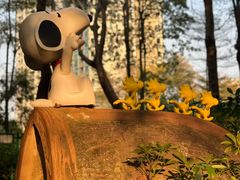 -史努比缤纷世界