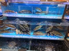 -伊藤洋华堂(高新店)