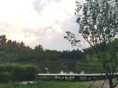 -东郊湿地公园