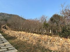 -牛首山文化旅游区