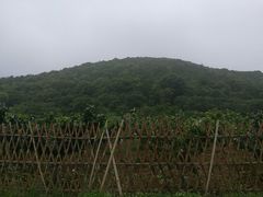 -龙寺生态园