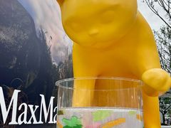 -深圳湾万象城(南山店)