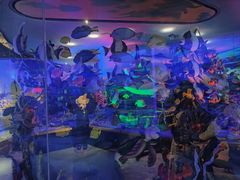 -成都泰迪熊博物馆