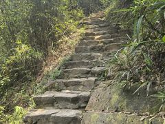 -南海湾森林生态园