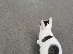 -宝岛公园
