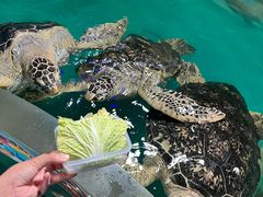 -正佳极地海洋世界