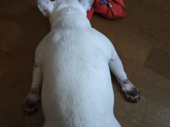 -中华门黑皮砂锅