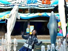 -海合安成都极地海洋公园