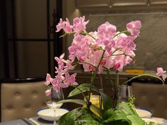 -狮王府淮扬菜(万象城店)