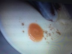 -义顺牛奶公司(庇利金街店)