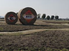 -嘉北郊野公园