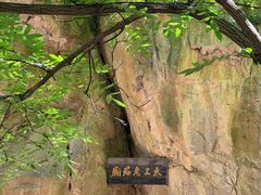 -藏山旅游风景区