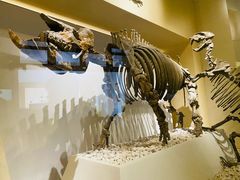 -国家自然博物馆