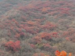 -水峪民俗村
