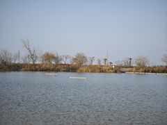 -盐城丹顶鹤湿地生态旅游区