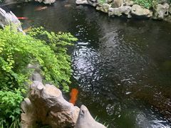 -鲤院·新中式美学·庭院餐厅(夫子庙店)