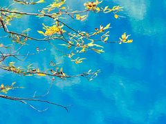 -叠溪松坪沟景区