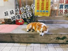 -小梁哥云吞面(黄贝岭店)