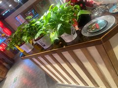 -鸽子窝(青塔店)